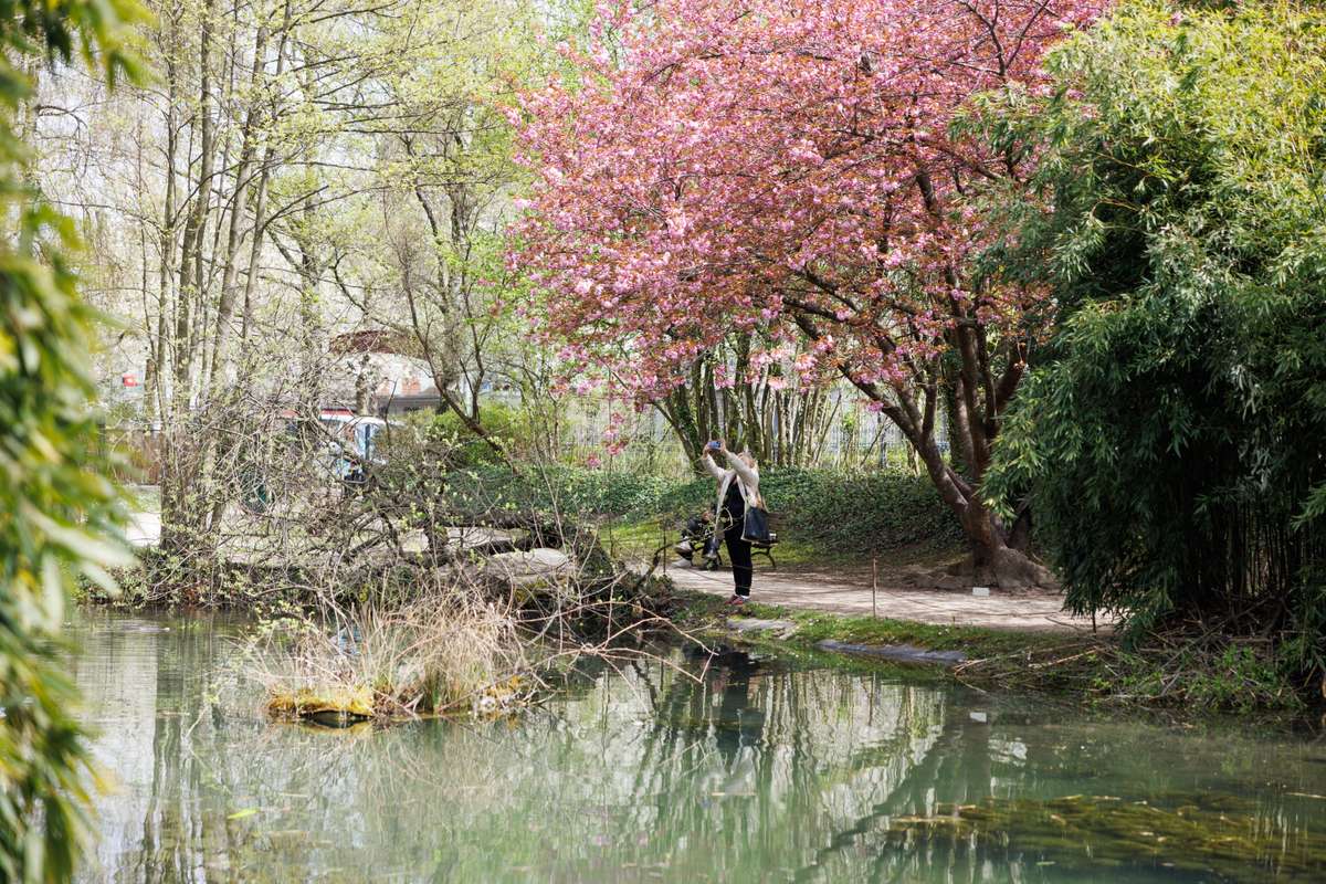 Elfenaupark