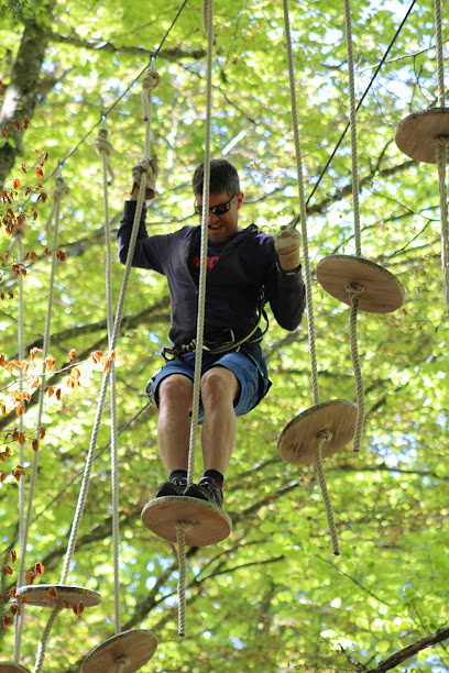 Forest Jump