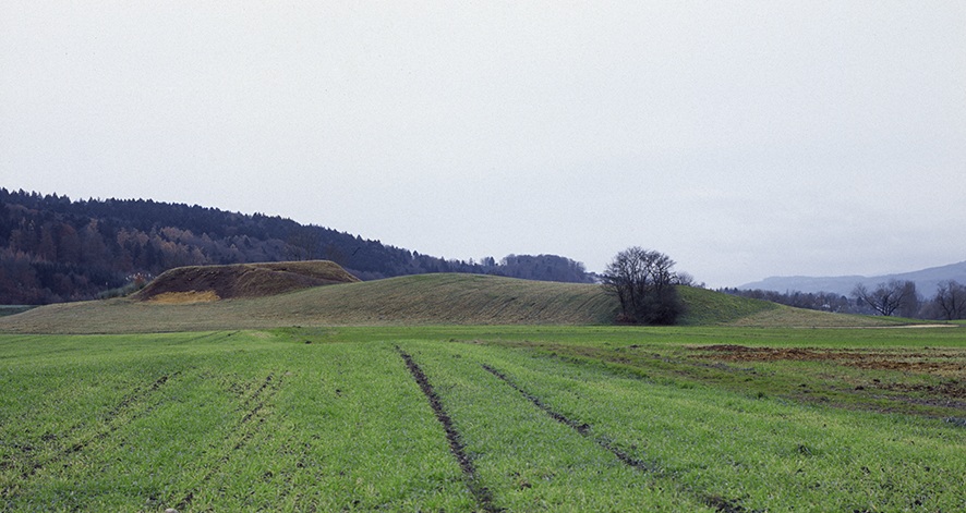 Ruine Guldhubel